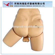 ISO Advanced Catheter Inserting Training Model